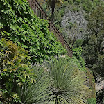 Photo n°5 de l'avis de Marianna.a fait le 28/04/2023 à 14:57 sur le  Hotel Villa Cipressi, by R Collection Hotels à Varenna