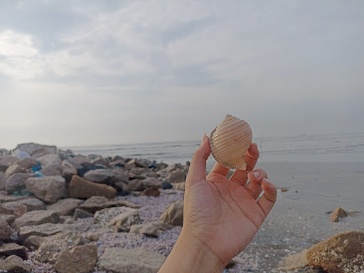 Top 20 cửa hàng play Huyện Cần Giờ Hồ Chí Minh 2022