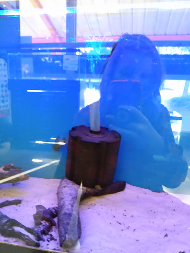 Pet Store «The Pet Works», reviews and photos, 407 4th Ave E, Olympia, WA 98501, USA