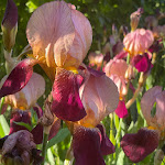 Photo n°3 de l'avis de Nastya. fait le 10/05/2024 à 08:55 sur le  MiaClara Relais à Alba