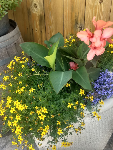 Winery «Treleaven Wines», reviews and photos, 658 Lake Rd, King Ferry, NY 13081, USA