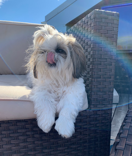 Insurance Agency «Youkie Chambers - State Farm Insurance Agent», reviews and photos