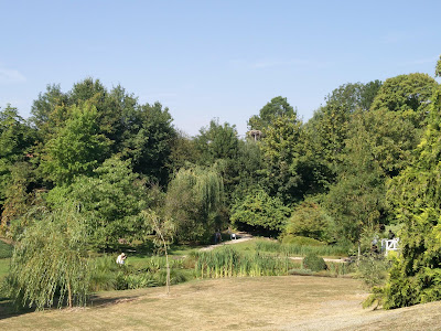 Les Rainette à Damvillers