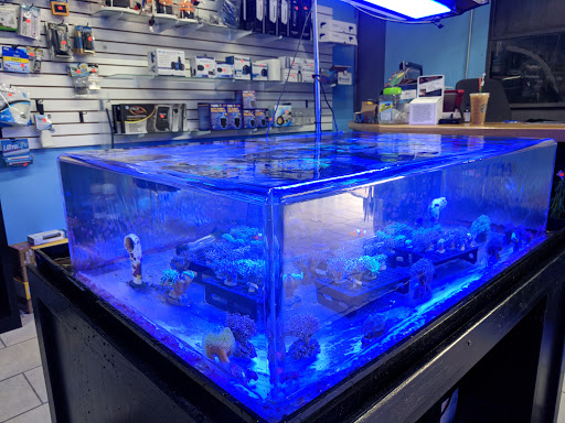 Tropical Fish Store «That Aquarium Place», reviews and photos, 17036 Stuebner Airline Rd, Spring, TX 77379, USA