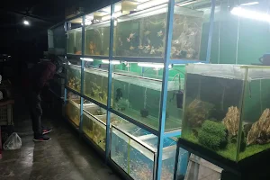 Exotic fish house and plant nursery image