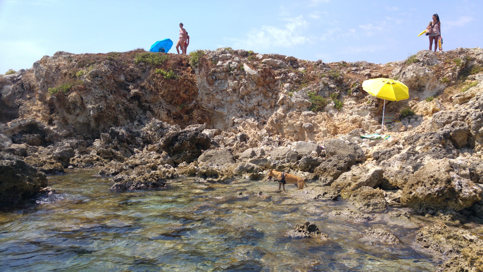 Foto de Spiaggia di Baia dell'Orte con parcialmente limpio nivel de limpieza