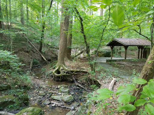 Nature Preserve «Fernbank Forest», reviews and photos, 767 Clifton Rd, Atlanta, GA 30307, USA