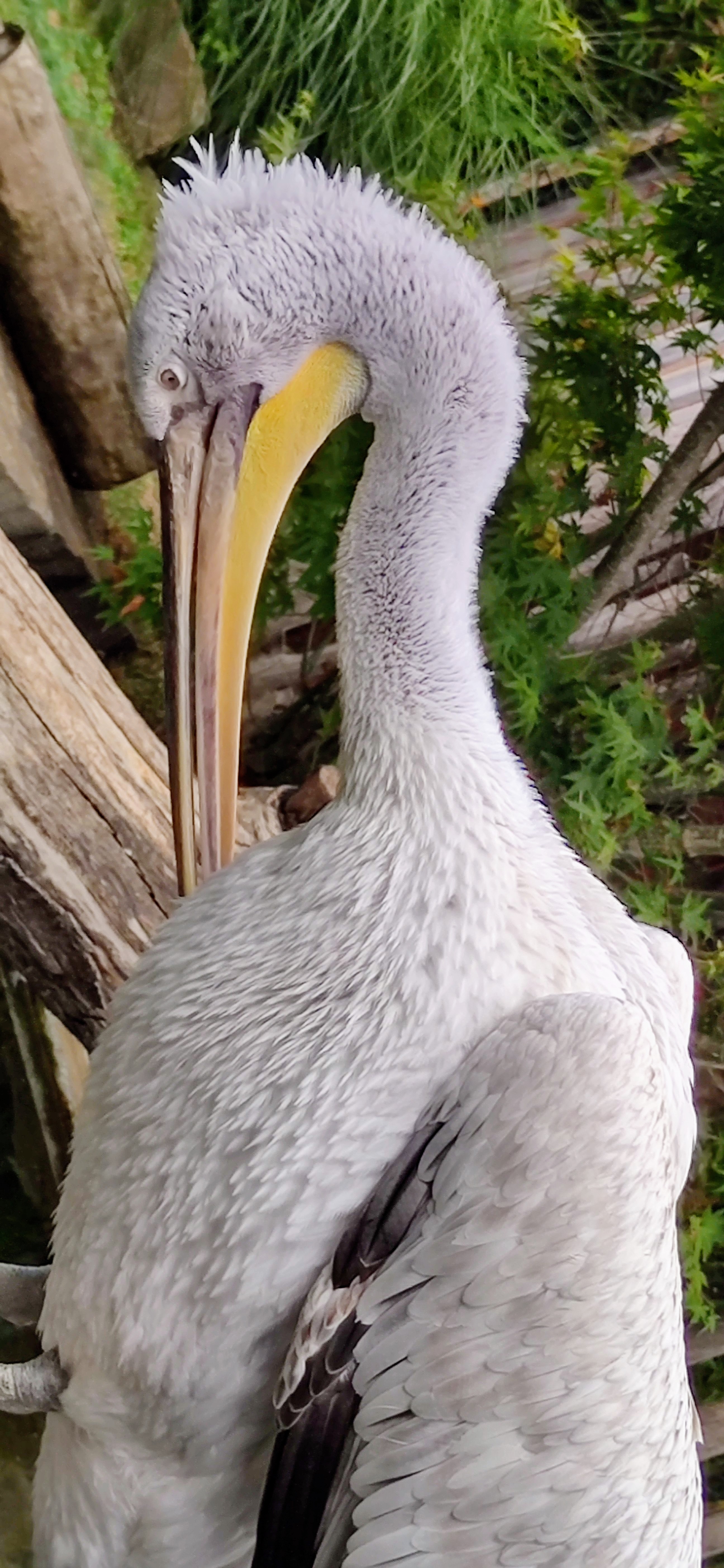 Photo n° 3 de l'avis de Sebastien.A fait le 22/08/2022 à 21:18