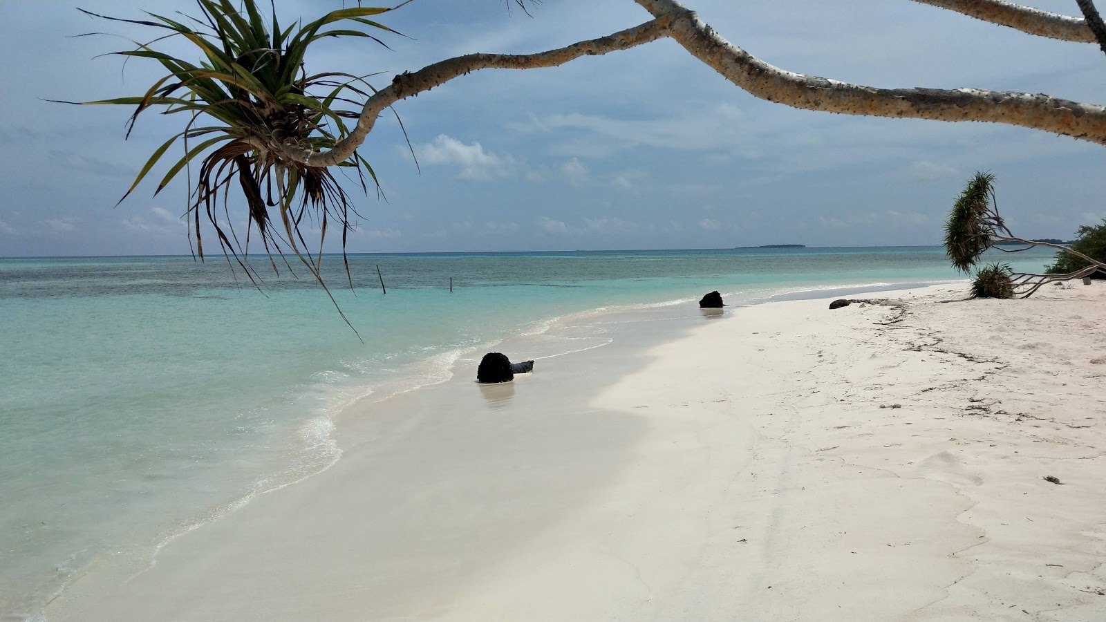 Photo de Goidhoo Beach avec un niveau de propreté de très propre