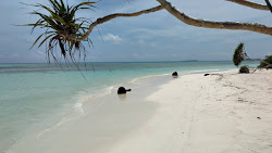 Photo de Goidhoo Beach avec un niveau de propreté de très propre