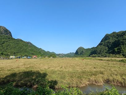 Hình Ảnh Viet Hai Village