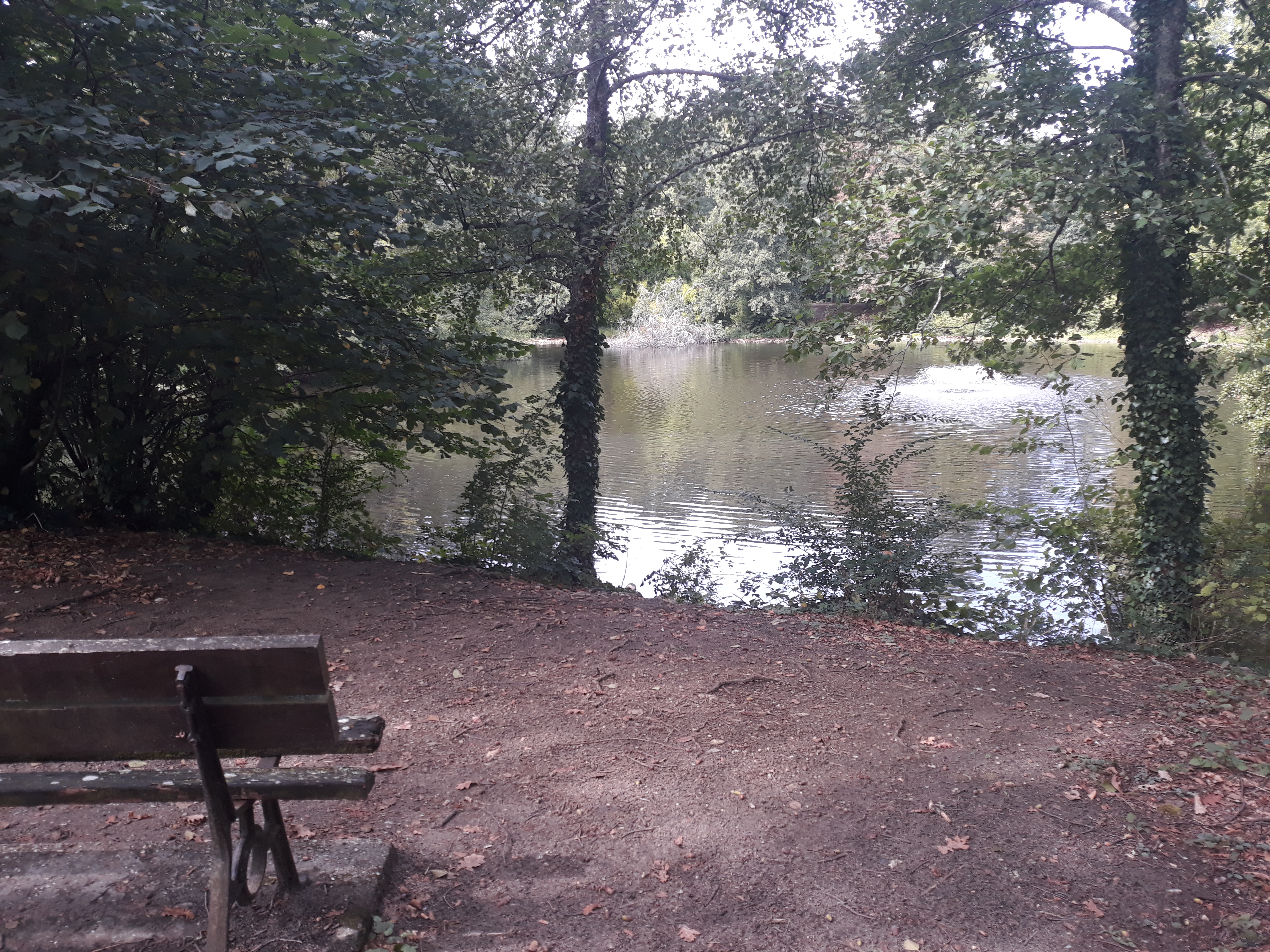 Photo n° 1 de l'avis de Emilie.� fait le 08/10/2019 à 08:39