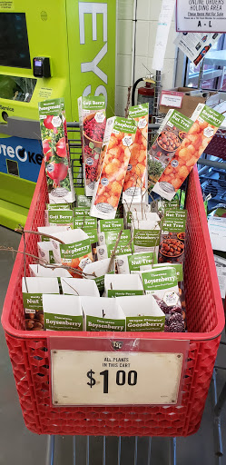 Home Improvement Store «Tractor Supply Co.», reviews and photos, 12110 Cumming Hwy, Canton, GA 30115, USA