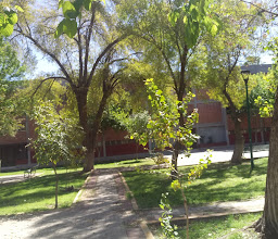 Plaza Washington photo