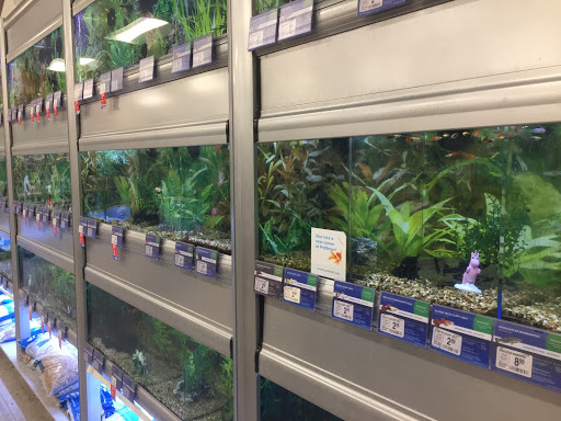 Pet Supply Store «PetSmart», reviews and photos, 5214 Blanche Moore Dr, Corpus Christi, TX 78411, USA