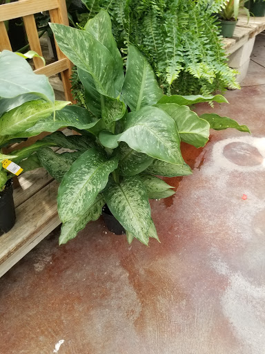 Florist «Breezewood Gardens & Gifts», reviews and photos, 17600 Chillicothe Rd, Chagrin Falls, OH 44023, USA