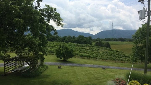 Winery «Shenandoah Vineyards», reviews and photos, 3659 S Ox Rd, Edinburg, VA 22824, USA
