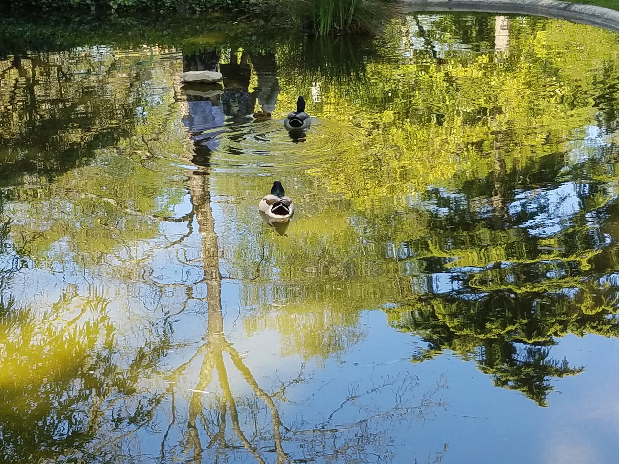 Photo n° 15 de l'avis de Elo.i fait le 14/09/2019 à 15:15