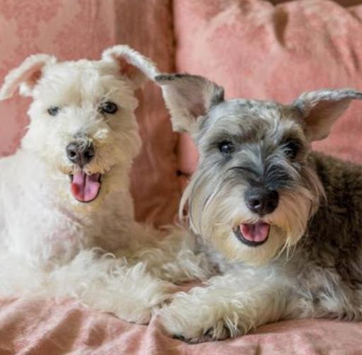 Pet Store «Pet Express», reviews and photos, 100 Independence Way, Danvers, MA 01923, USA