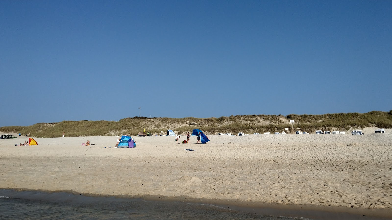 Photo de Ellenbogen Beach situé dans une zone naturelle
