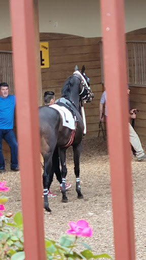 Casino «Hollywood Casino at Charles Town Races», reviews and photos, 580 E 5th Ave, Ranson, WV 25438, USA