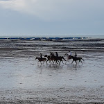 Photo n° 1 de l'avis de Isabelle.u fait le 15/05/2018 à 23:40 pour locations vacances Jullouville Mont St Michel Granville Manche Chausey à Jullouville