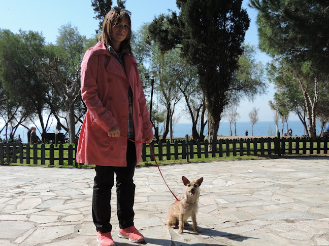 Alpha dogs - Εκπαίδευση Σκύλων Πάτρα Ανοιχτές ώρες