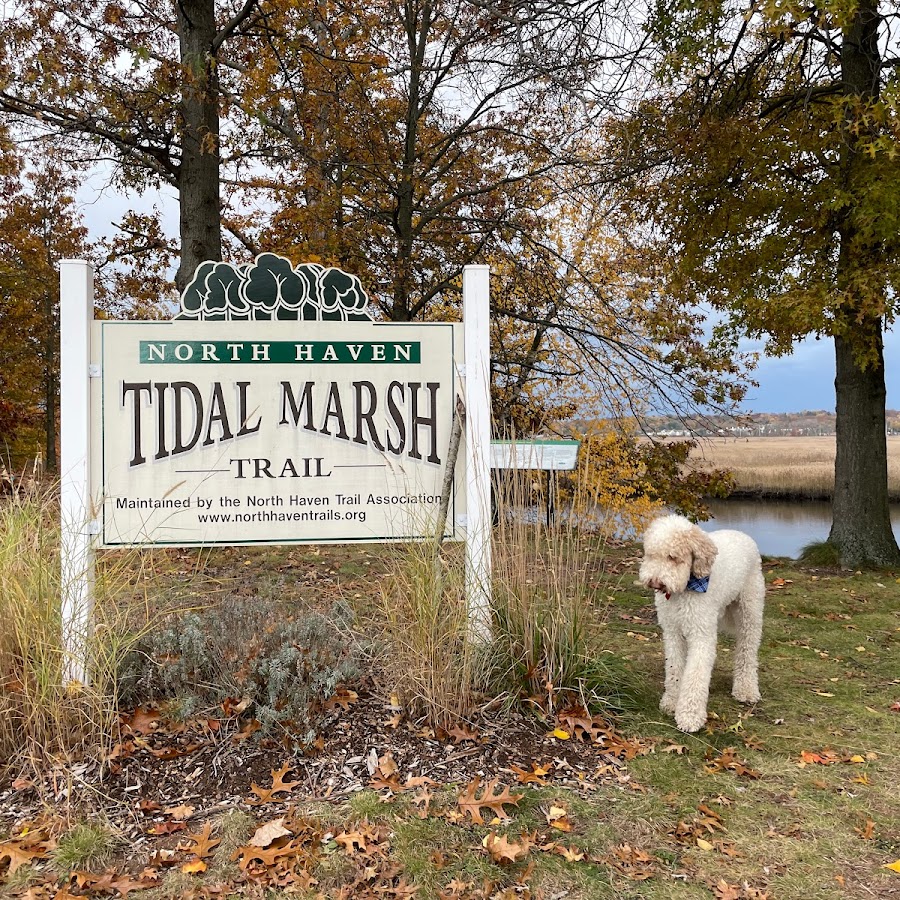Tidal Marsh Trail