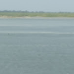 Photo n° 8 de l'avis de Nisse.o fait le 21/07/2021 à 11:56 pour Bateau de la Baie à Saint-Valery-sur-Somme