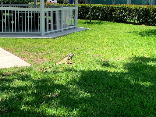 Park «Bay View Park», reviews and photos, 4401 Bayview Dr, Fort Lauderdale, FL 33308, USA