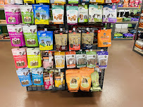 Unleashed, The Dog & Cat Store of Durham - Photo 7 - Car repair in Durham, NC, Durham