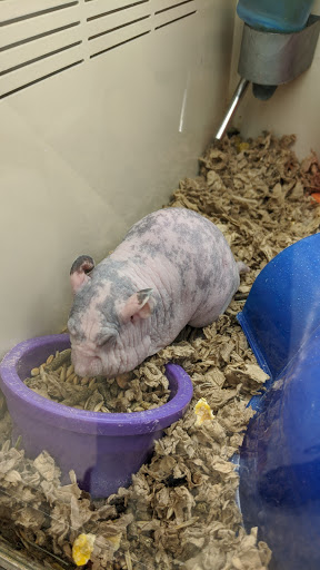 Pet Supply Store «Pet Supplies Plus», reviews and photos, 1137 Annapolis Rd, Odenton, MD 21113, USA