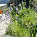 Photo n°2 de l'avis de Hend.. fait le 03/07/2023 à 20:54 sur le  Mandarin Oriental, Lake Como à Blevio