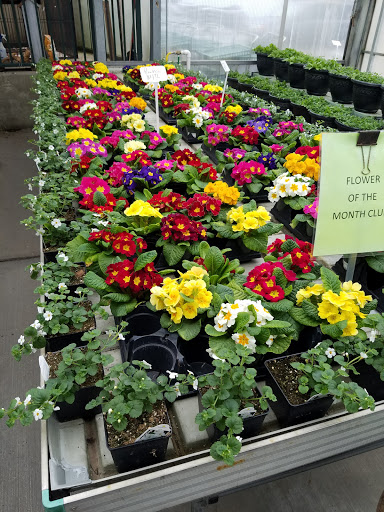 Florist «Meier Flowerland & Greenhouse», reviews and photos, 8087 Grand River Ave, Brighton, MI 48114, USA