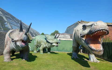 Blackpool Zoo image