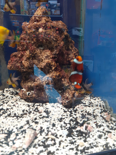 Pet Supply Store «Pet Station Jackson», reviews and photos, 1617 E Michigan Ave, Jackson, MI 49202, USA