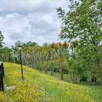 Photo n°11 de l'avis de Maximiliano.o fait le 08/05/2022 à 15:25 sur le  Il Primo Fiore à Valsamoggia