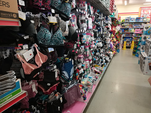 Dollar Store «FAMILY DOLLAR», reviews and photos, 1006 US-171, Stonewall, LA 71078, USA