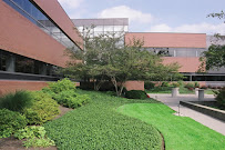 Rodriguez Landscaping - Photo 3 - Car repair in , Riverside