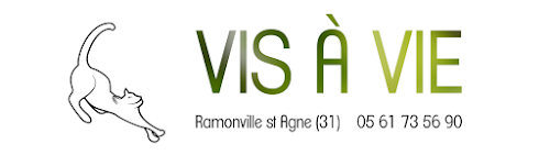 Cours de yoga Association Vis-à-Vie Ramonville-Saint-Agne