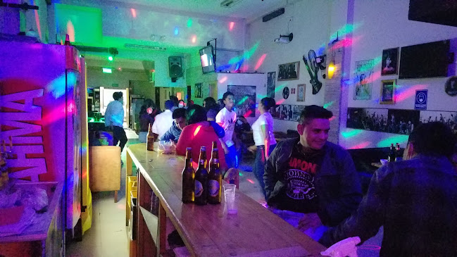 The bear discoteca