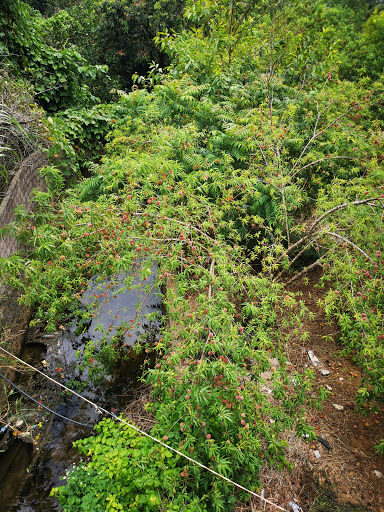 Top 17 cửa hàng brother Huyện Mộc Châu Sơn La 2022