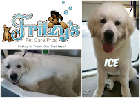 Fritzy's Pet Care Pros - Photo 1 - Car repair in Menifee, CA, Menifee