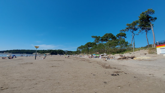 Plage des Vergnes