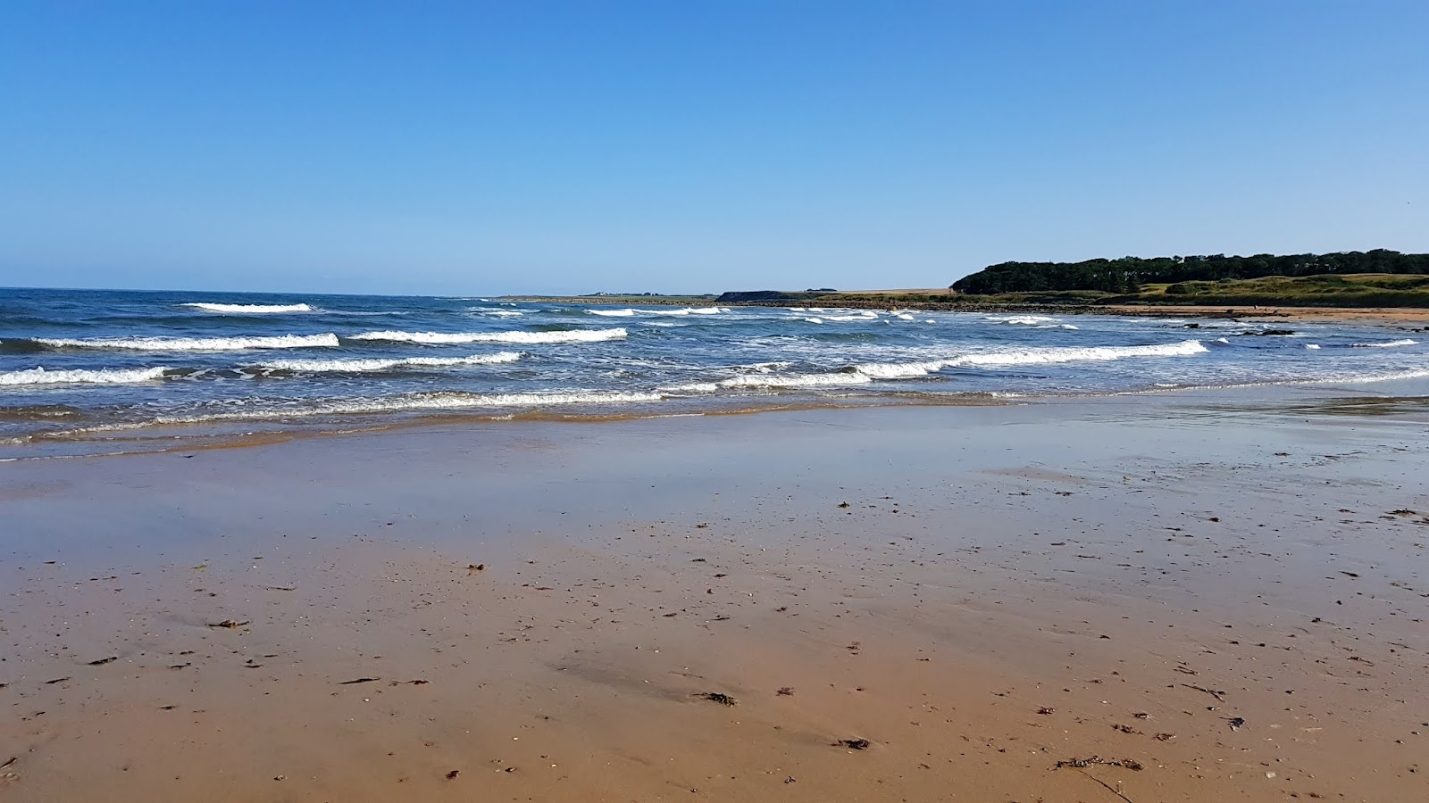 Fotografija Kingsbarn plaža divje območje