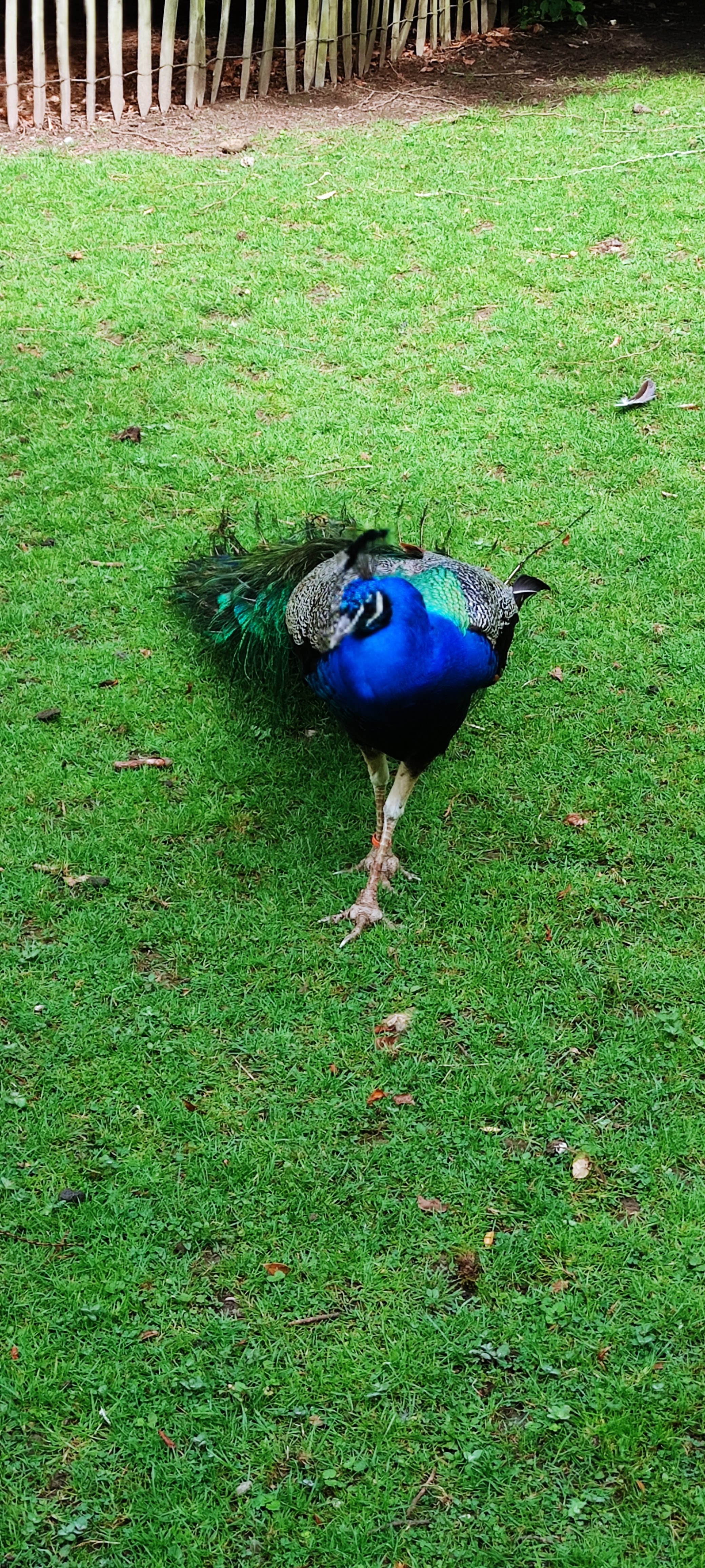 Photo n° 4 de l'avis de Christophe.h fait le 22/05/2022 à 06:02