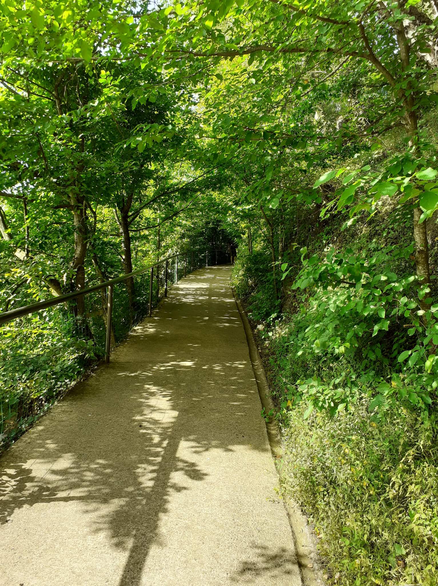 Photo n° 7 de l'avis de Dominique. fait le 18/06/2022 à 21:36