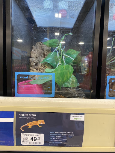 Pet Supply Store «PetSmart», reviews and photos, 1621 E Monte Vista Ave b, Vacaville, CA 95688, USA