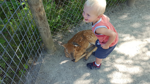 Zoo «Special Memories Zoo», reviews and photos, W7013 Spring Rd, Greenville, WI 54942, USA