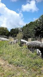 Photo n°5 de Dolmen de Mané-Rethual à Locmariaquer ()